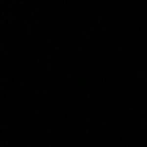 Meet your Posher, Gus